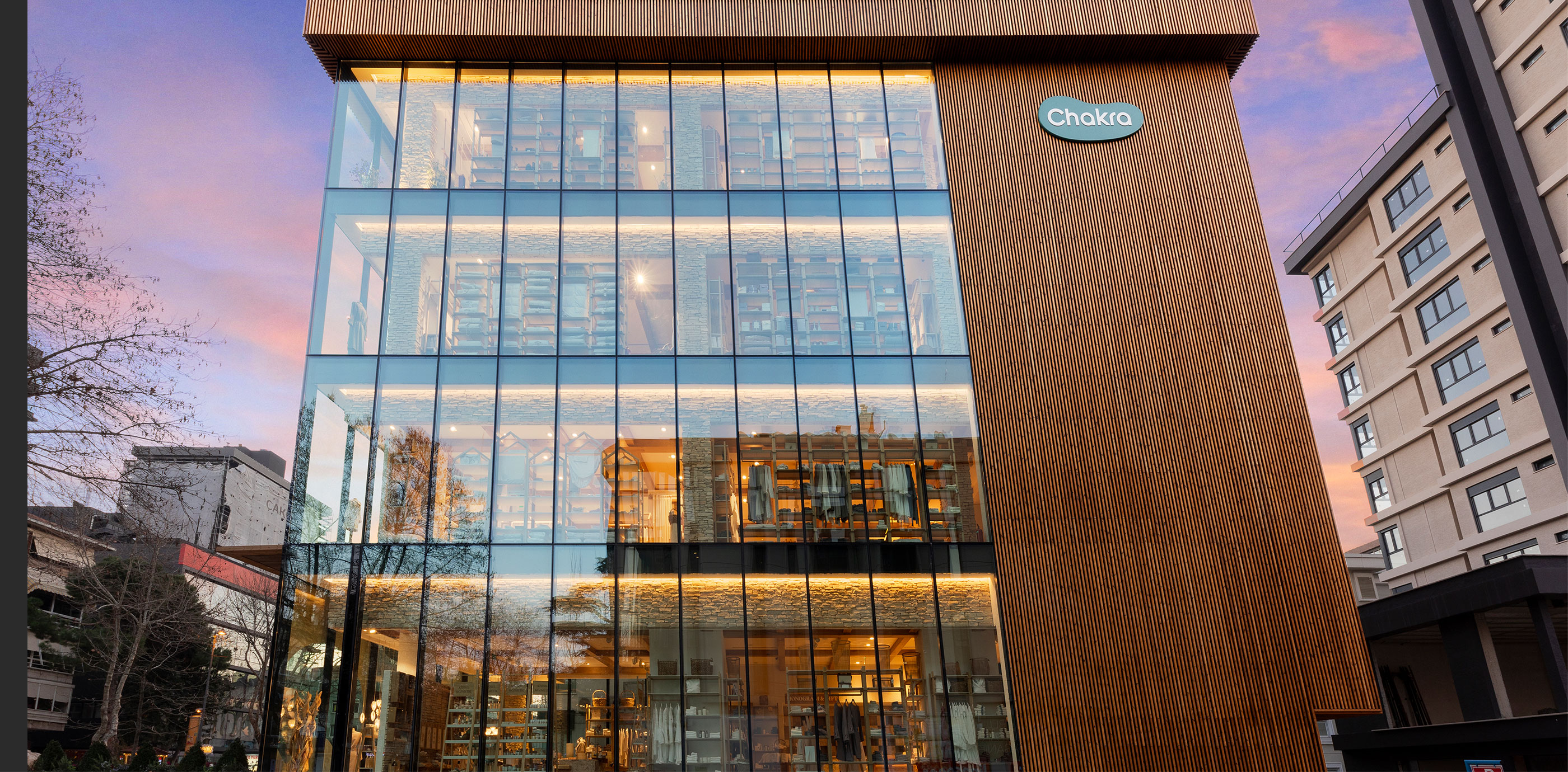 CHAKRA: NATURE AND ARCHITECTURE